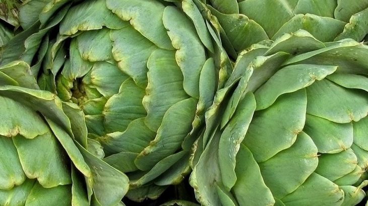 Enginar yaprakları ve serviks ca