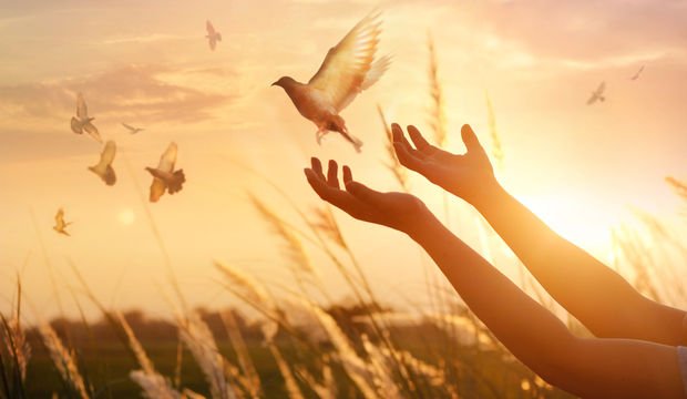 Affedebildiğin Ölçüde Hürsün!