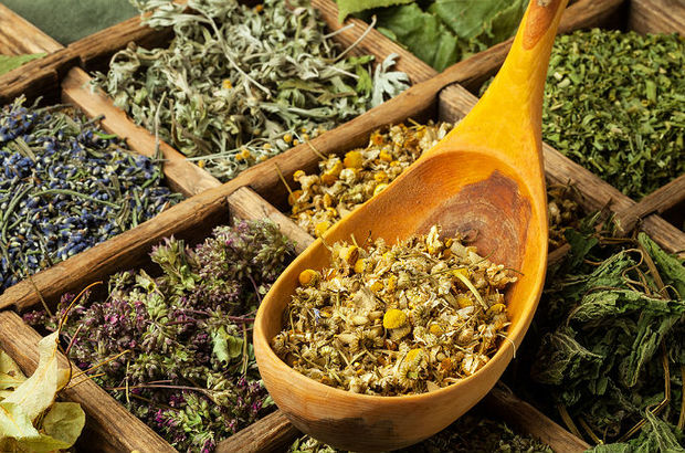 Tıbbi nebevi ve günümüz